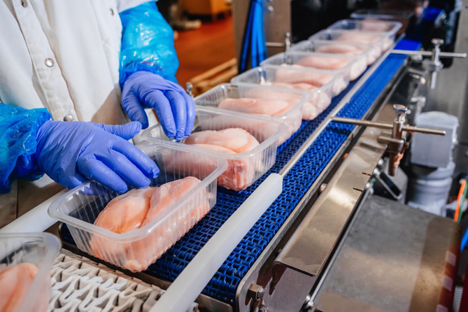 Poultry cut-up and deboning equipment with conveyors and workstations