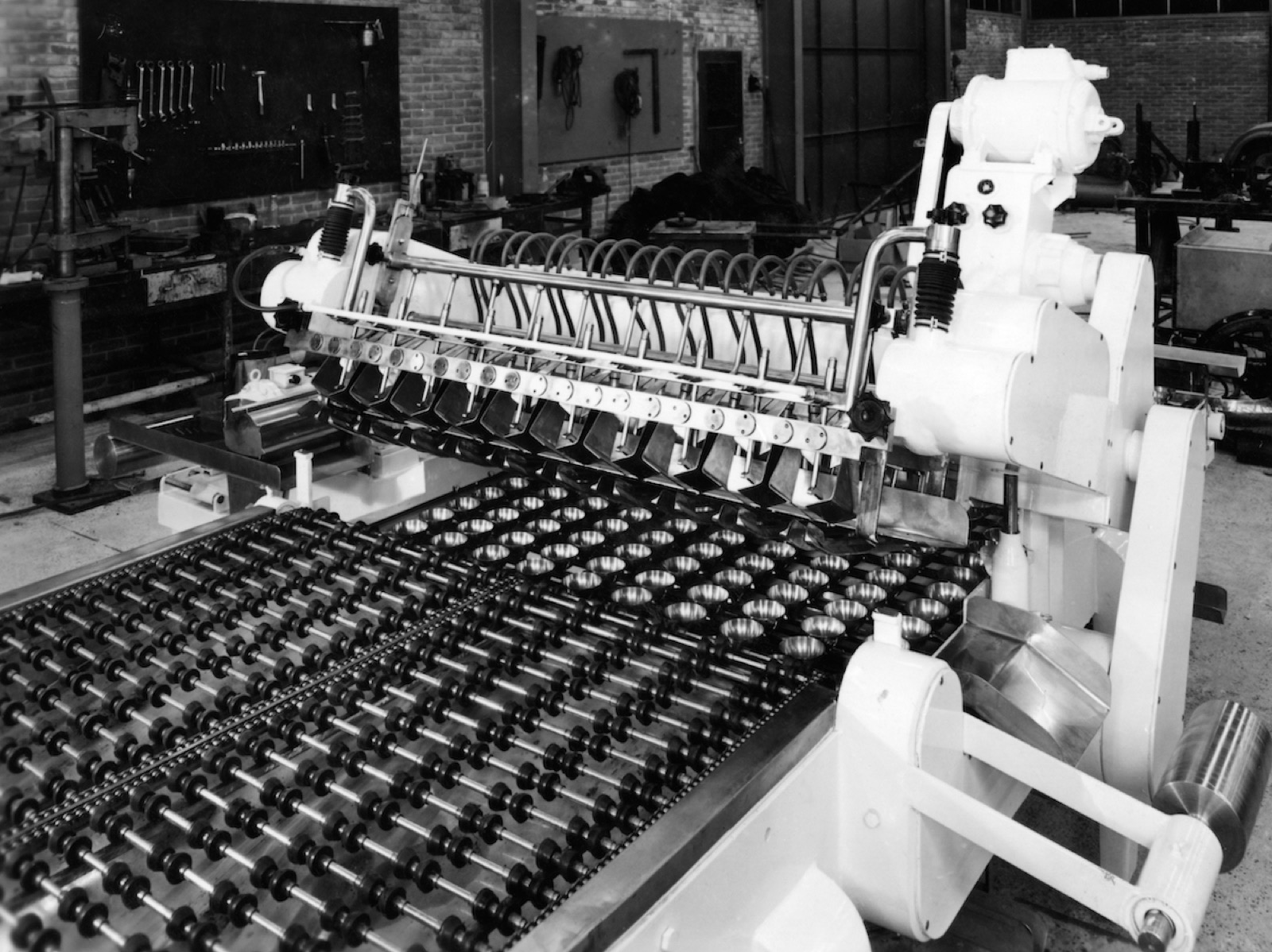 Poultry live bird handling line with overhead shackles